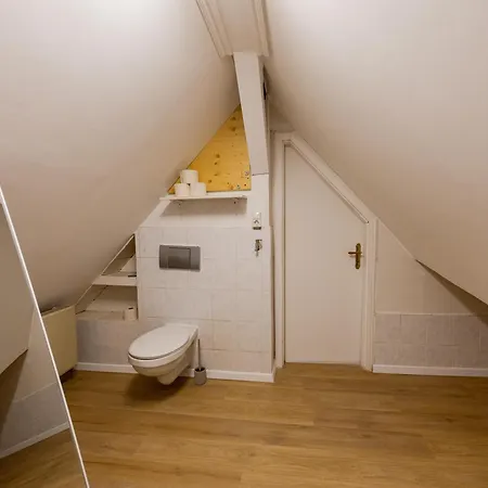 Schiefe Altbauvilla In Zentraler Lage, Monteurunterkunft Appartement *