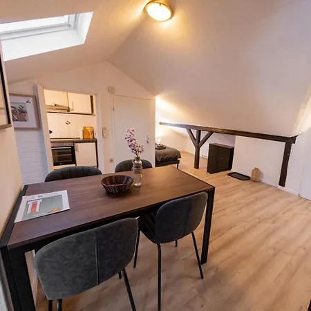 Schiefe Altbauvilla In Zentraler Lage, Monteurunterkunft Appartement *