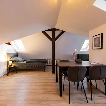 Apartment Schiefe Altbauvilla In Zentraler Lage, Monteurunterkunft