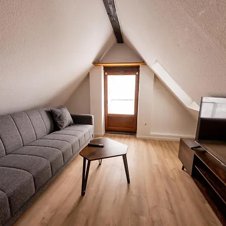 Apartment Schiefe Altbauvilla In Zentraler Lage, Monteurunterkunft