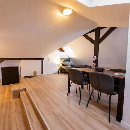 Schiefe Altbauvilla In Zentraler Lage, Monteurunterkunft Apartment *