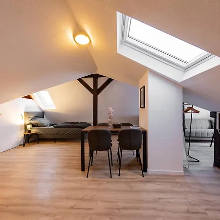 Apartment Schiefe Altbauvilla In Zentraler Lage, Monteurunterkunft