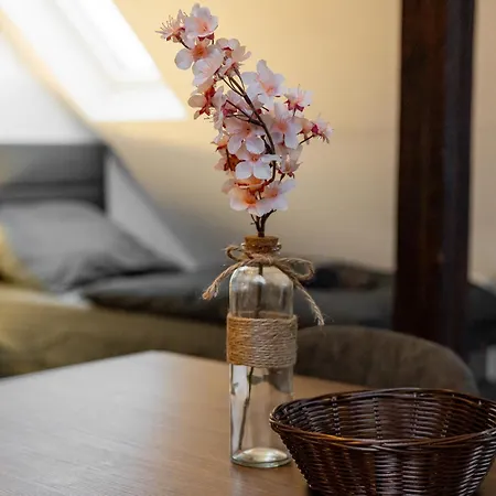 Apartment Schiefe Altbauvilla In Zentraler Lage, Monteurunterkunft Oldenburg