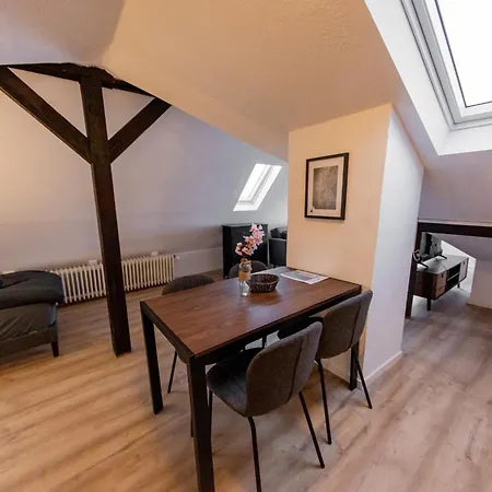 Apartment Schiefe Altbauvilla In Zentraler Lage, Monteurunterkunft *