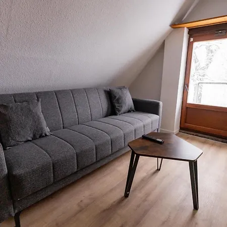 Schiefe Altbauvilla In Zentraler Lage, Monteurunterkunft * Oldenburg