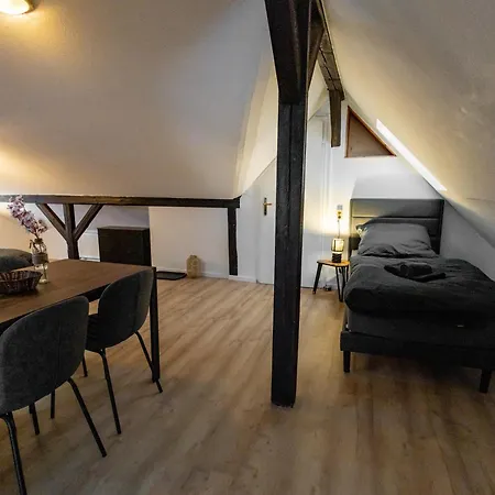Apartment Schiefe Altbauvilla In Zentraler Lage, Monteurunterkunft *