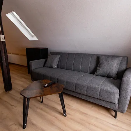 Schiefe Altbauvilla In Zentraler Lage, Monteurunterkunft Apartment