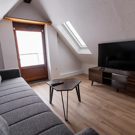Apartment Schiefe Altbauvilla In Zentraler Lage, Monteurunterkunft