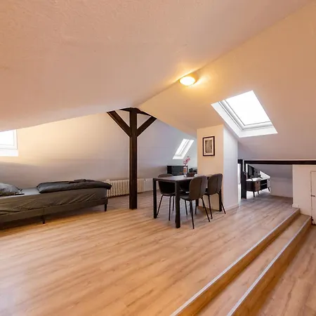 Schiefe Altbauvilla In Zentraler Lage, Monteurunterkunft Apartment Oldenburg