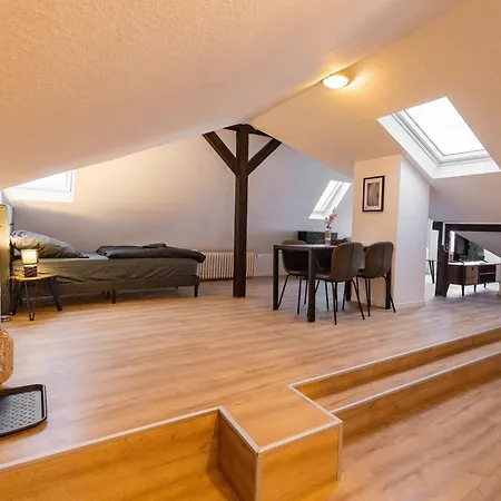 Schiefe Altbauvilla In Zentraler Lage, Monteurunterkunft Apartment *