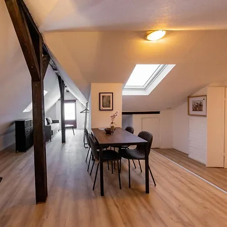 Schiefe Altbauvilla In Zentraler Lage, Monteurunterkunft Apartment *