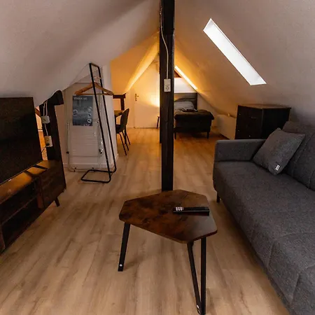 Apartment Schiefe Altbauvilla In Zentraler Lage, Monteurunterkunft *
